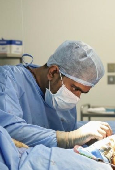 Dr Ritvik Vinayak